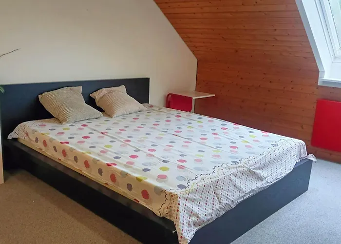 Big Cozy Entire Family Appartment